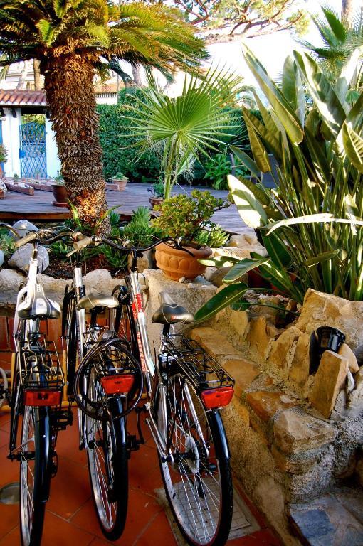 Villa Rita Sanremo Dış mekan fotoğraf